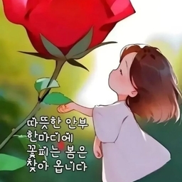 피드에 업로드 된 이미지