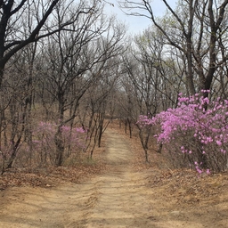 피드에 업로드 된 이미지