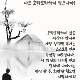 피드에 업로드 된 이미지
