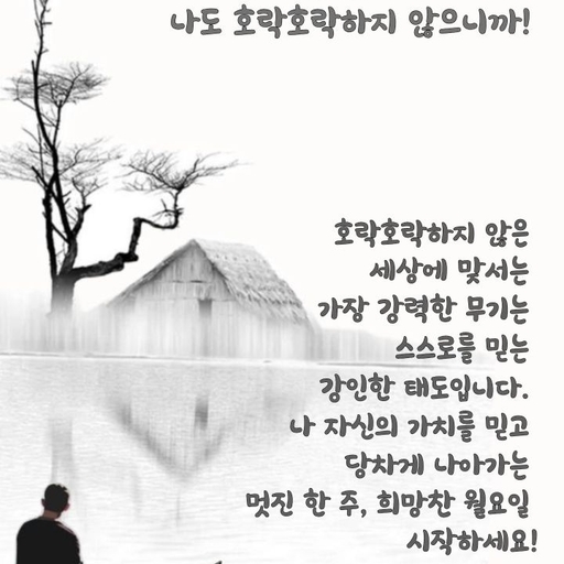 피드 이미지