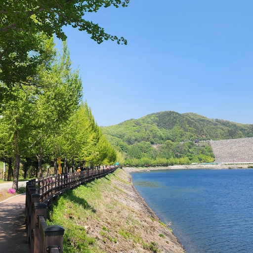 모임 대표 이미지