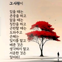 피드에 업로드 된 이미지