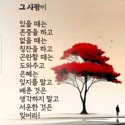 피드 이미지