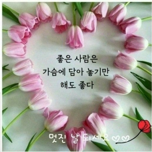 피드 이미지