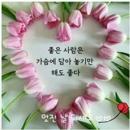 피드에 업로드 된 이미지