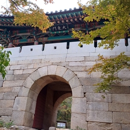 피드에 업로드 된 이미지