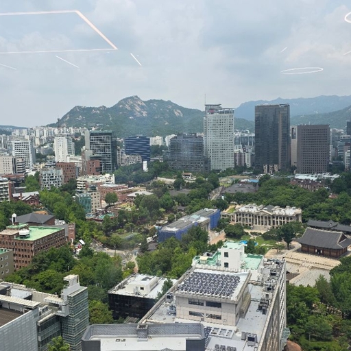 피드 이미지