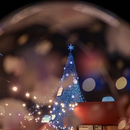 피드에 업로드 된 이미지