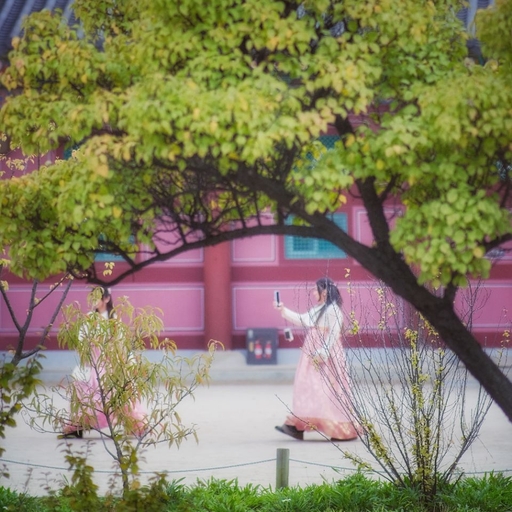 피드 이미지