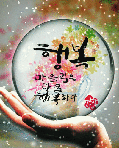 피드에 업로드 된 이미지