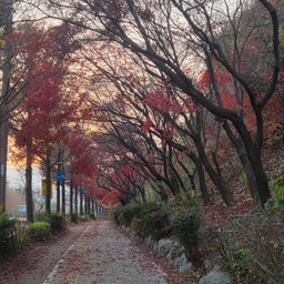 피드에 업로드 된 이미지