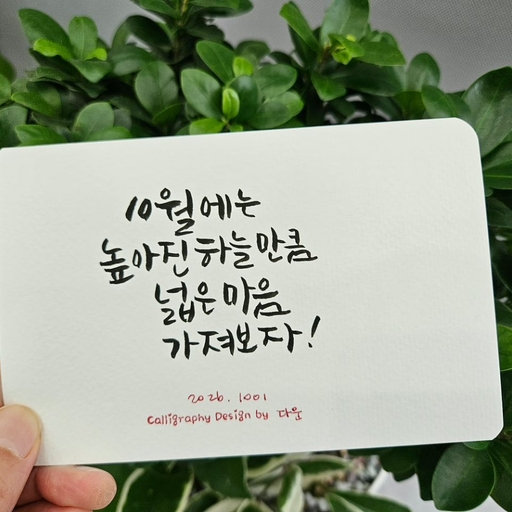 피드 이미지