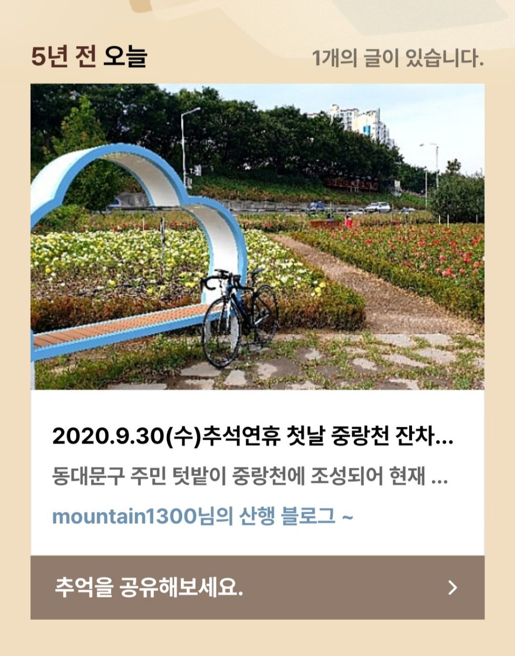 피드 이미지