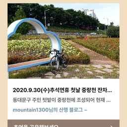 피드에 업로드 된 이미지