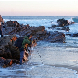 피드에 업로드 된 이미지