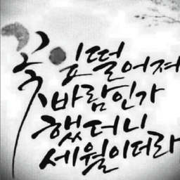 피드에 업로드 된 이미지