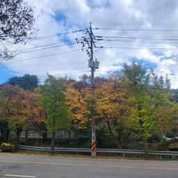 피드에 업로드 된 이미지