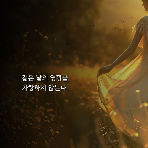 피드 이미지