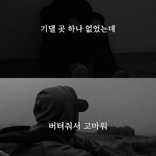 피드 이미지