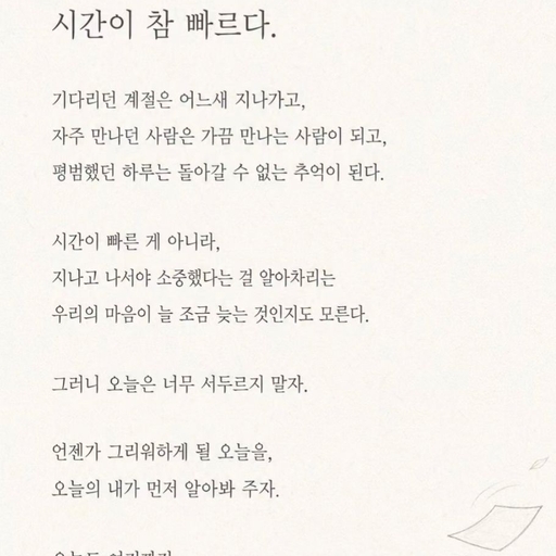 피드 이미지