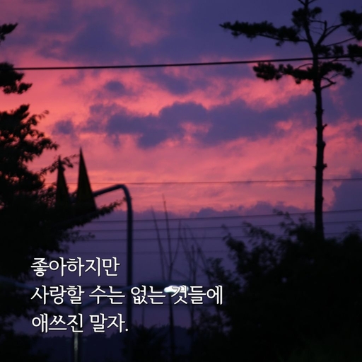 피드 이미지