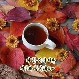 피드에 업로드 된 이미지