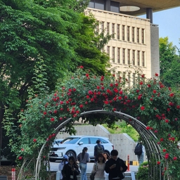 피드에 업로드 된 이미지