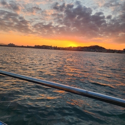 피드에 업로드 된 이미지