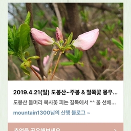 피드에 업로드 된 이미지