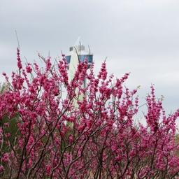 피드에 업로드 된 이미지