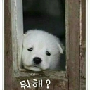 피드 작성자 프로필