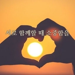 피드에 업로드 된 이미지