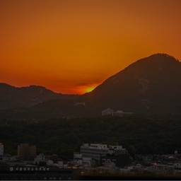 피드에 업로드 된 이미지