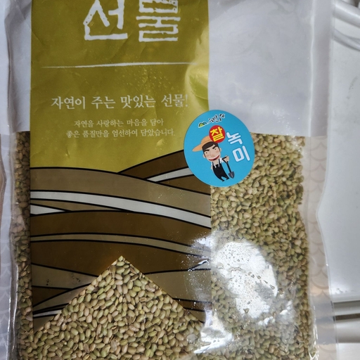 피드 이미지