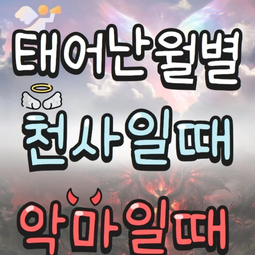 피드 이미지