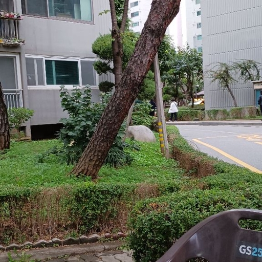 피드 이미지