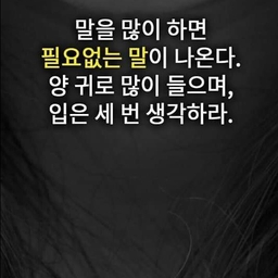 피드에 업로드 된 이미지