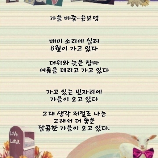 피드 이미지