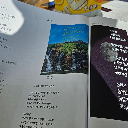 피드 이미지