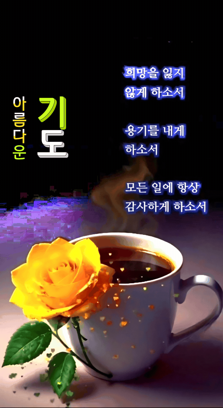 피드에 업로드 된 이미지