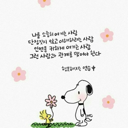 피드에 업로드 된 이미지