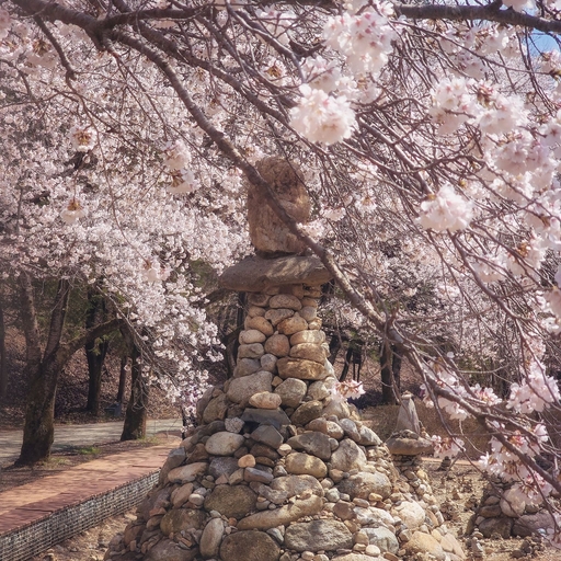 피드 이미지