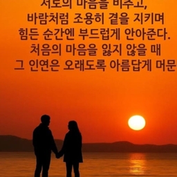 피드에 업로드 된 이미지