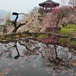 피드에 업로드 된 이미지