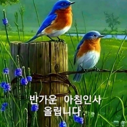 피드에 업로드 된 이미지
