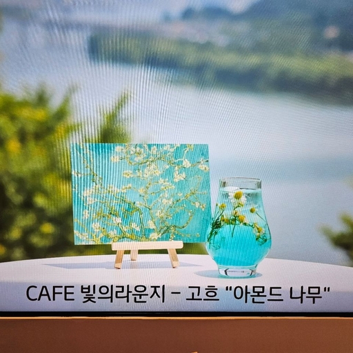 피드 이미지