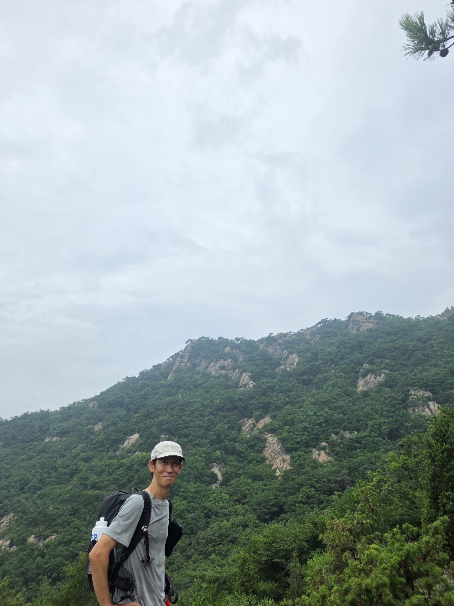 피드 이미지