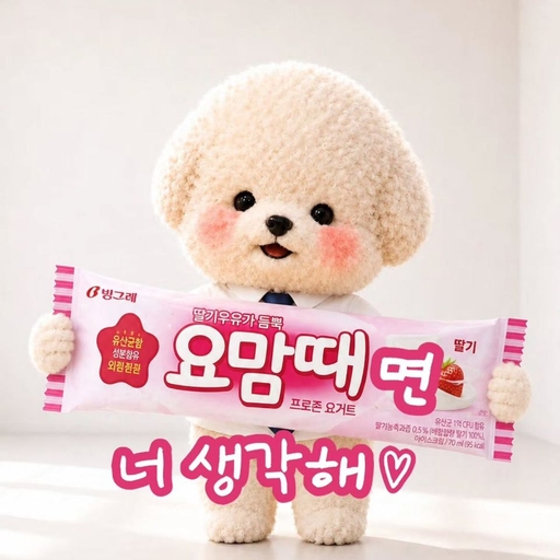 피드 이미지