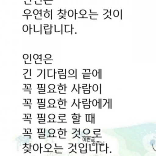 피드 이미지