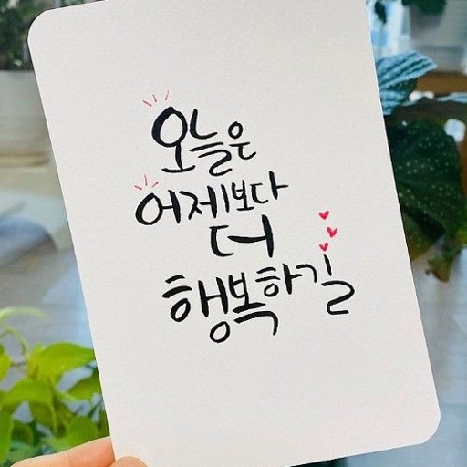 피드 이미지